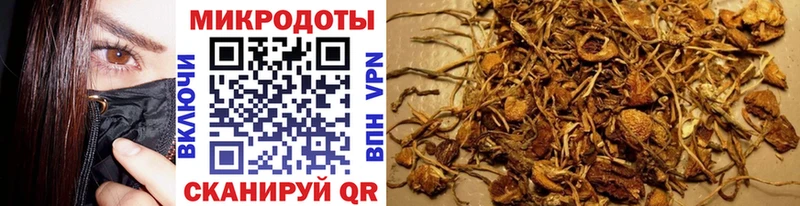 Галлюциногенные грибы Psilocybe  mega вход  Североморск 